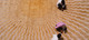 Shearing step image 2